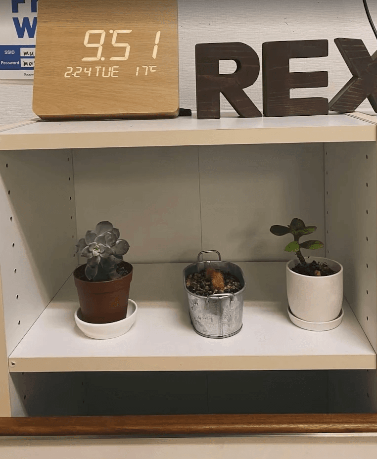 REX整骨院 新札幌店 サブ画像 3